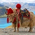 Butan-Iz ugla svjetskih putnika
