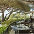 Grand-Hôtel du Cap-Ferrat