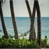 Four Seasons Resort Seychelles at Desroches Island10