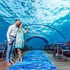 Hurawalhi Island Resort7