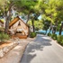 Arena One 99 Glamping7