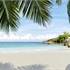 Raffles Praslin