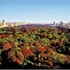 The Ritz-Carlton New York, Central Park